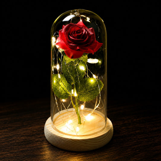 Rose Éternelle sous Cloche
