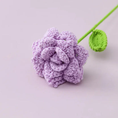 Rose Tricotée | Artiflora Violet