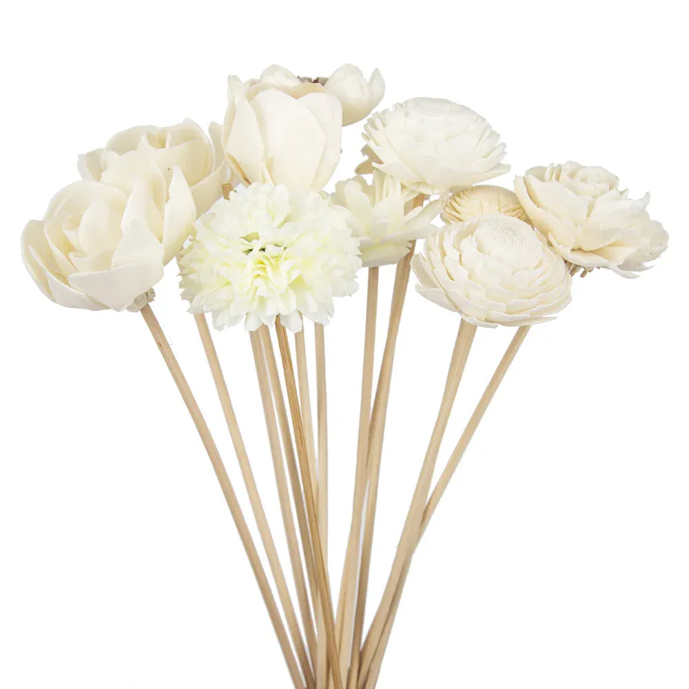 Roses à tige de bois | Artiflora 11