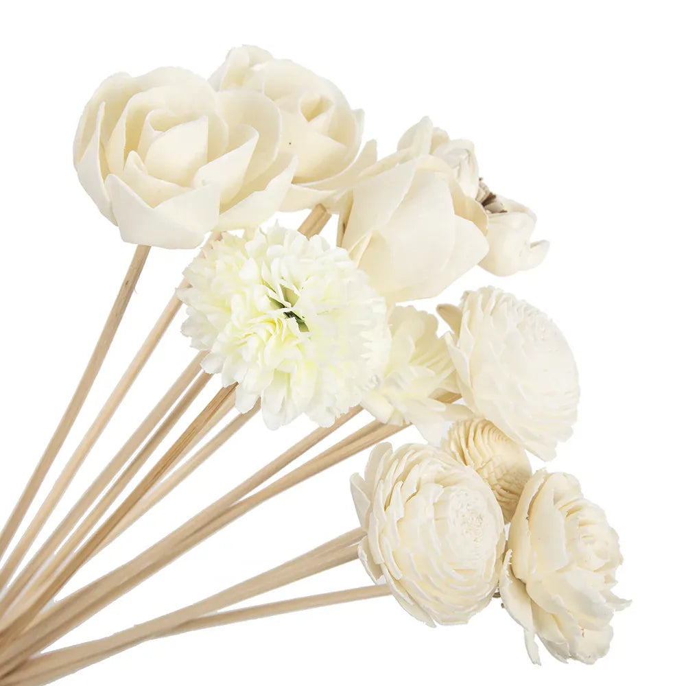Roses à tige de bois | Artiflora 11