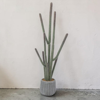 Saguaro Cactus Artificiel | Artiflora