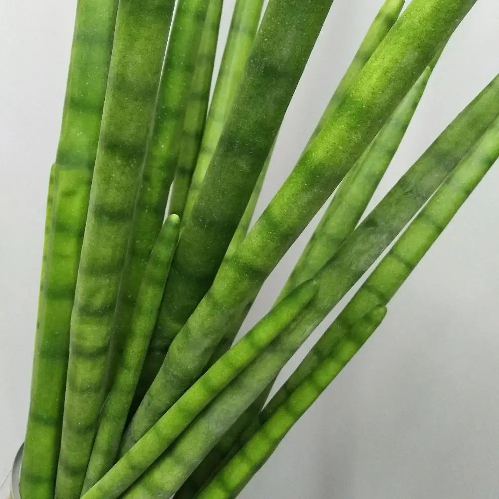 Sansevieria Cactus Artificiel | Artiflora