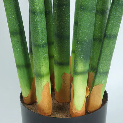 Sansevieria Cactus Artificiel | Artiflora