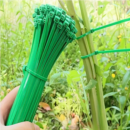 Serre-Câble pour Plantes | Artiflora 100
