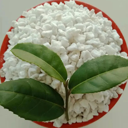 Substrat pour Plante