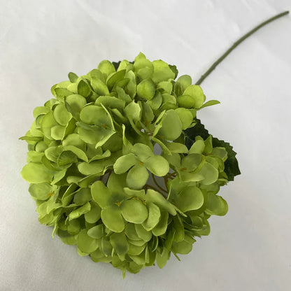 Tige d'Hortensia | Artiflora Vert Clair