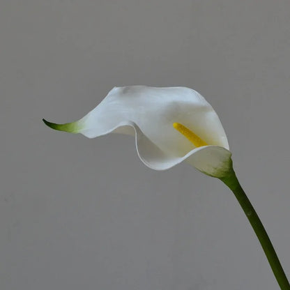 Arum Arificiel