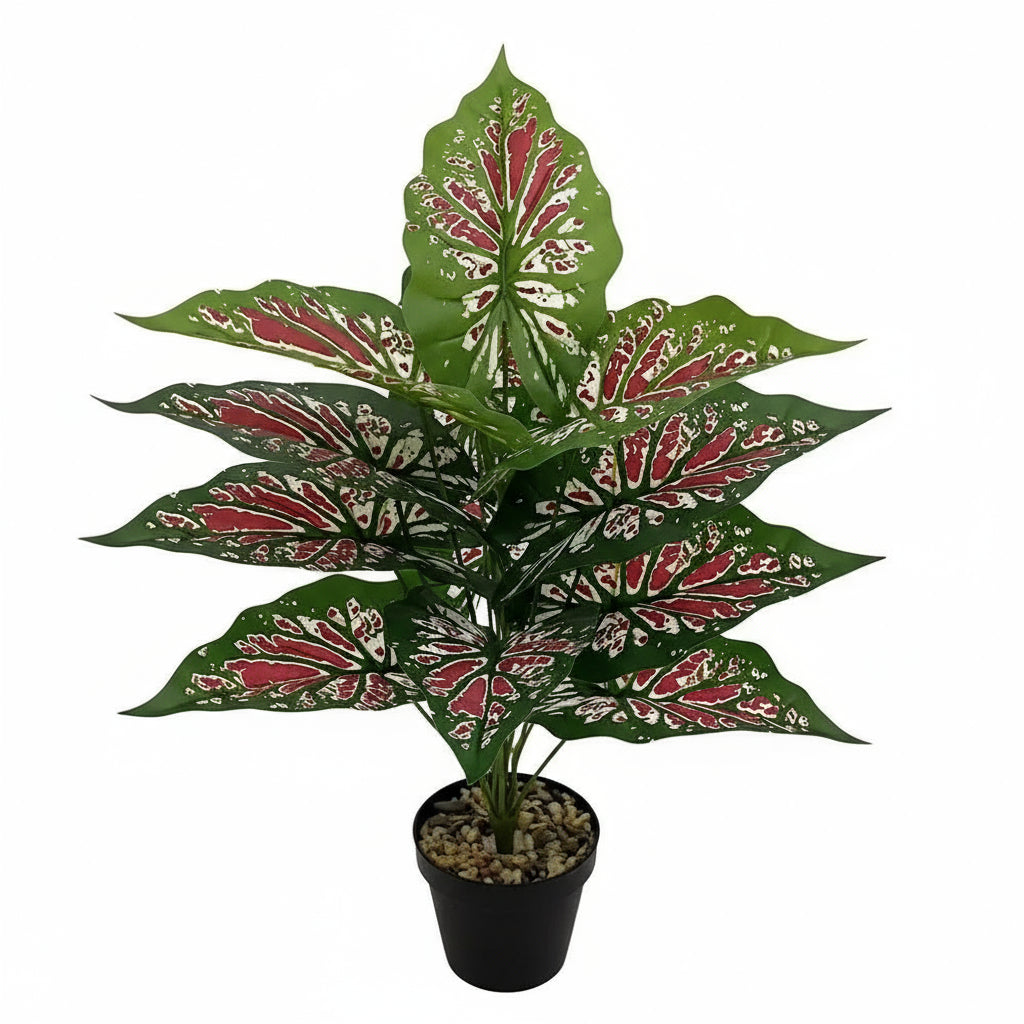 Alocasia Artificiel Rouge