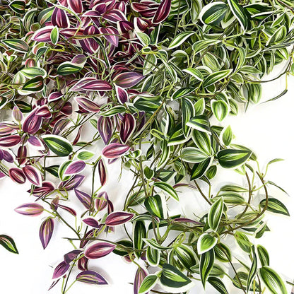 Vigne Artificielle | Artiflora